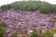 kyoto_13-04-07_16-05-43_003.jpg