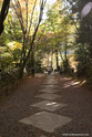 kyoto_10-11-17_12-20-01_565.jpg