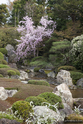 Kyoto_13-04-04_13-49-51_072.jpg