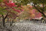 kyoto_10-11-14_11-12-29_120.jpg