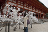 kyoto_10-11-13_14-03-07_022.jpg