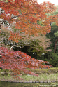 kyoto_10-11-13_14-21-08_029.jpg