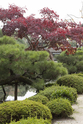 kyoto_10-11-13_14-24-33_030.jpg