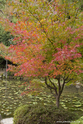 kyoto_10-11-13_14-28-40_033.jpg