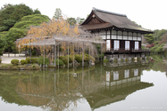 kyoto_10-11-13_14-40-51_044.jpg