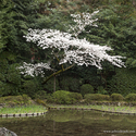 kyoto_13-04-02_06-07-58_029.jpg