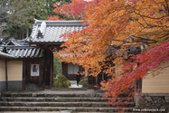 kyoto_10-11-17_15-00-05_614.jpg