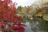 kyoto_10-11-15_13-09-55_278.jpg