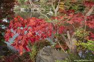 kyoto_10-11-15_13-11-14_280.jpg