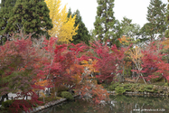 kyoto_10-11-15_13-15-18_285.jpg