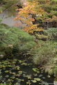 kyoto_10-11-15_13-39-16_301.jpg