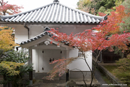 kyoto_10-11-15_13-59-00_311.jpg