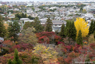 kyoto_10-11-15_14-48-14_334.jpg