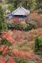 kyoto_10-11-15_14-48-30_335.jpg