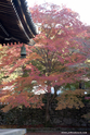 kyoto_10-11-15_15-17-11_349.jpg