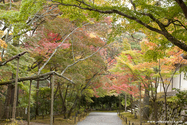 kyoto_10-11-14_11-56-59_138.jpg