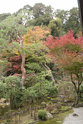 kyoto_10-11-14_12-05-18_145.jpg