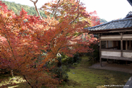 kyoto_10-11-17_13-32-43_584.jpg