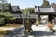 kyoto_10-11-19_12-02-49_744.jpg