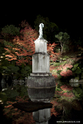 kyoto_10-11-16_20-30-45_529.jpg