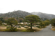 japon_kyoto_08-02-28-10-10-20-101.jpg