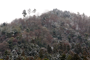 japon_kyoto_08-02-28-10-11-40-007.jpg