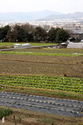 japon_kyoto_08-02-28-10-15-27-013.jpg