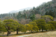 japon_kyoto_08-02-28-10-28-07-018.jpg