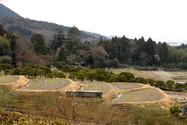 japon_kyoto_08-02-28-11-03-12-038.jpg