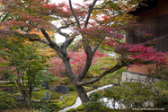 kyoto_10-11-16_15-10-15_449.jpg