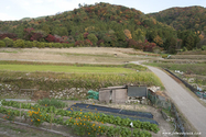 kyoto_10-11-16_15-19-32_454.jpg