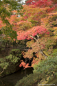 kyoto_10-11-16_16-02-15_469.jpg