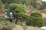 kyoto_10-11-16_16-10-17_479.jpg