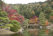 kyoto_10-11-16_16-11-48_482.jpg