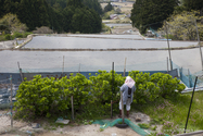 maruyama_senmai_13-04-14_14-07-40_001.jpg