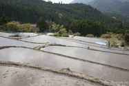 maruyama_senmai_13-04-14_14-08-29_002.jpg