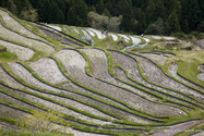 maruyama_senmai_13-04-14_14-28-34_008.jpg