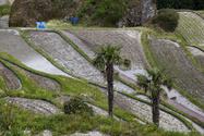 maruyama_senmai_13-04-14_14-29-29_009.jpg