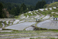 maruyama_senmai_13-04-14_14-35-59_011.jpg