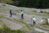 maruyama_senmai_13-04-14_14-38-35_012.jpg