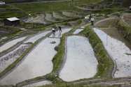 maruyama_senmai_13-04-14_14-40-33_014.jpg