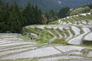 maruyama_senmai_13-04-14_14-43-07_015.jpg