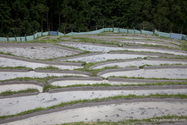 maruyama_senmai_13-04-14_14-44-50_017.jpg