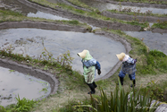 maruyama_senmai_13-04-14_14-49-00_021.jpg