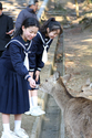 japon_nara_08-03-05-17-41-06-063.jpg