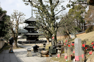 japon_nara_08-03-06-11-26-15-012.jpg