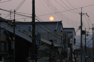 japon_nara_08-03-06-18-35-12-113.jpg