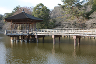 japon_nara_08-03-07-17-16-46-055.jpg