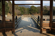 japon_nara_08-03-07-17-18-54-056.jpg