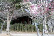 japon_nara_08-03-07-17-22-49-058.jpg